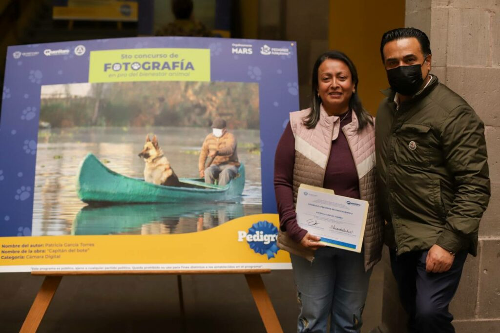 Concurso de Fotografia en Pro del Bienestar Animal