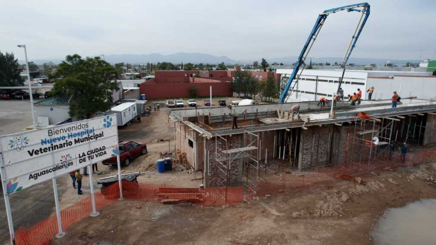 Hospital veterinario aguascalientes construcción