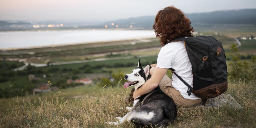 “Ser más amigable con los perros podría ser una mina de oro para la industria hotelera y turística”