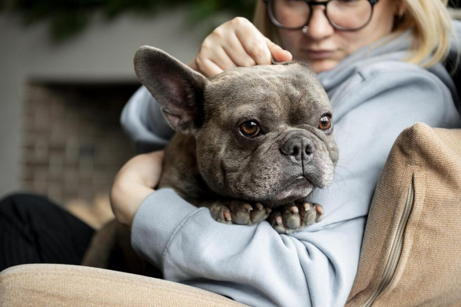 Mujer sujeta a su perro