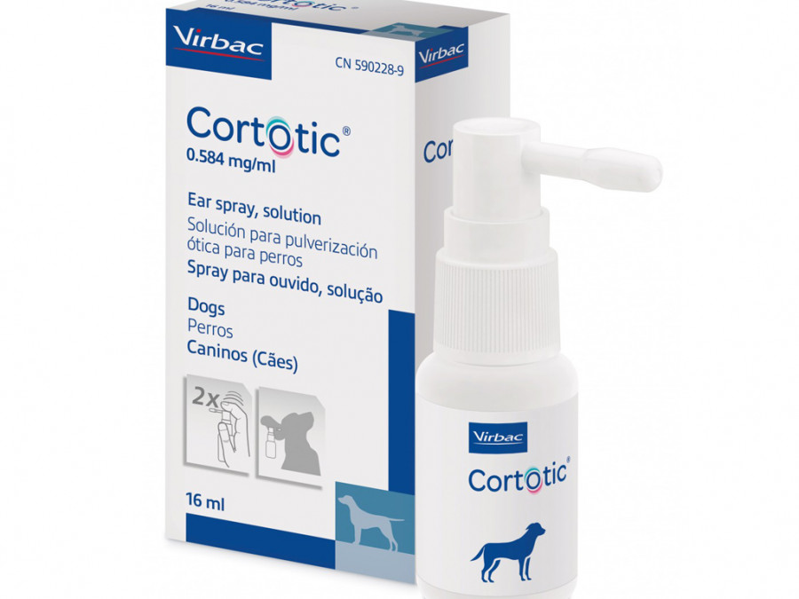 Cortotic