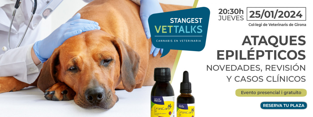 Stangest Vet Talks web