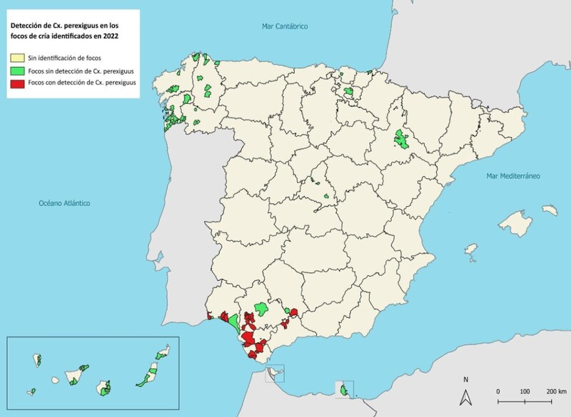 Focos de cría de Culex perexiguus