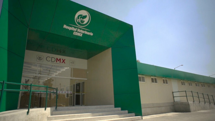 Hospital Veterinario CDMX