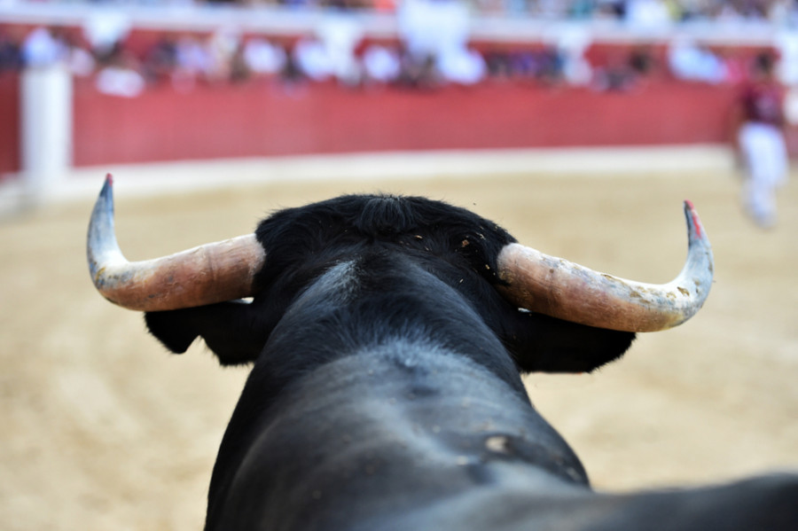 Corrida de toros