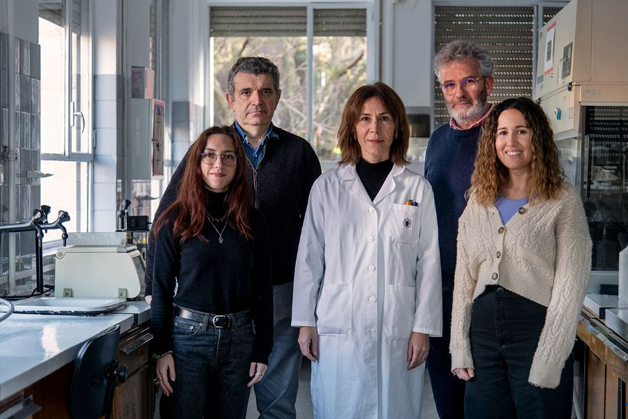 investigadores complutense