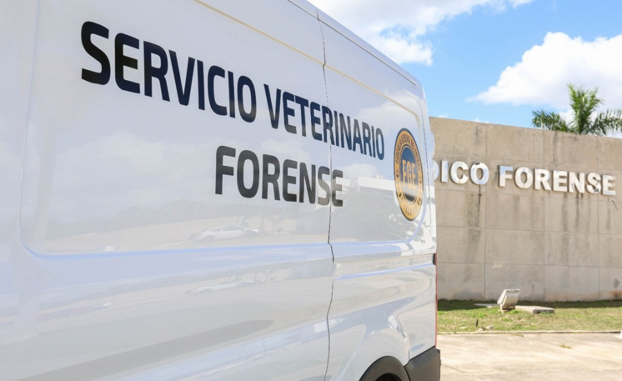 Servicio Veterinario Forense Yucatán