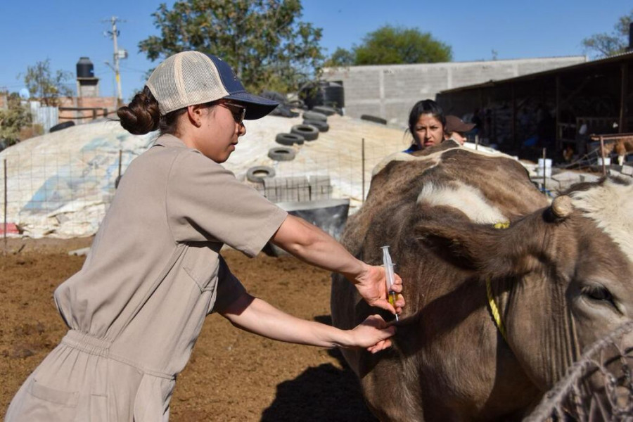 Servicios veterinarios a productores ganaderos de Aguascalientes