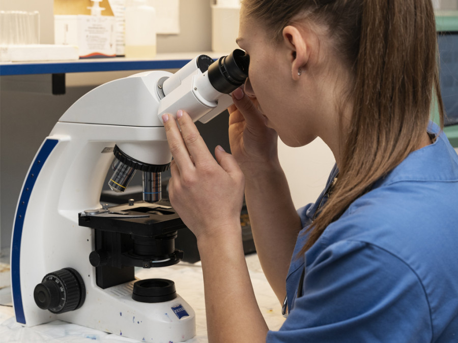 Veterinaria laboratorio