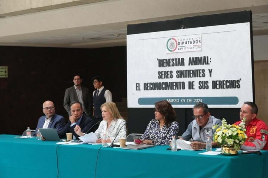 Foro bienestar animales