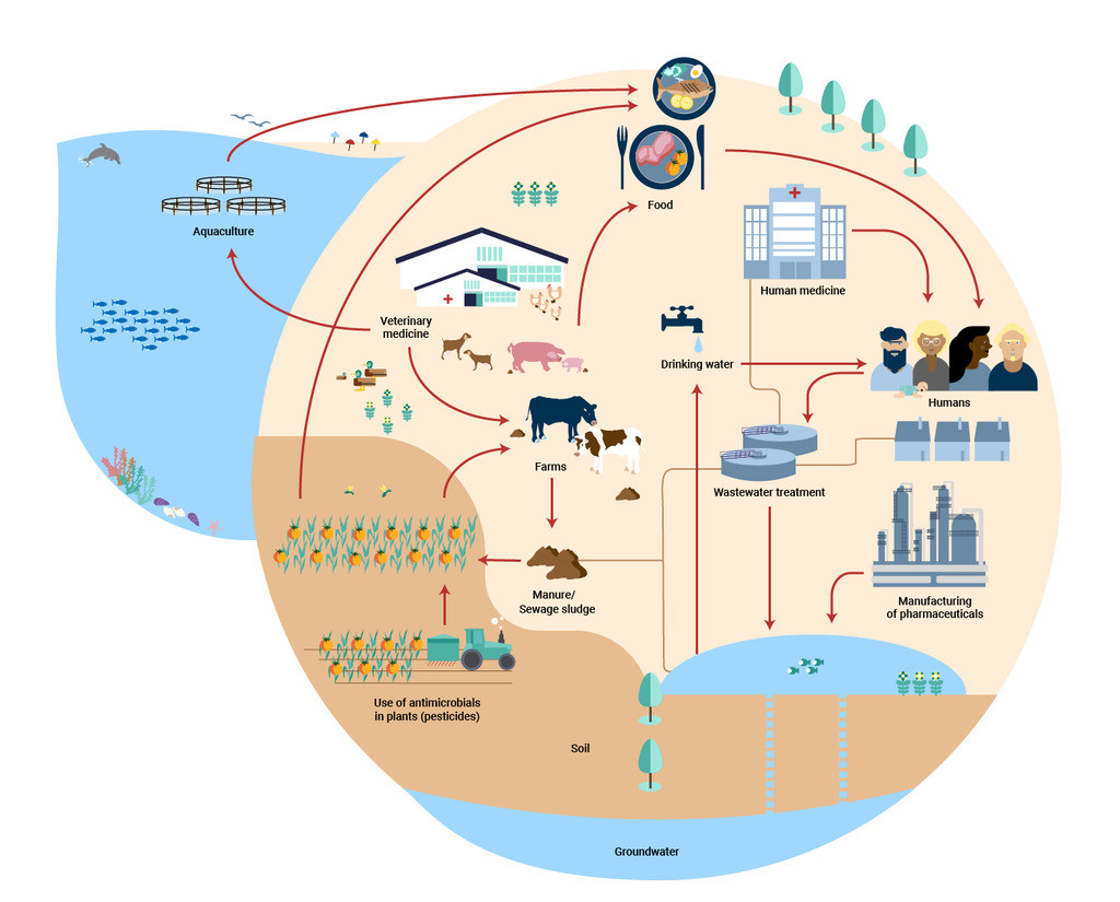 Panorama general de las rutas de transporte ambiental para antimicrobiales de usos humanos y veterinarios