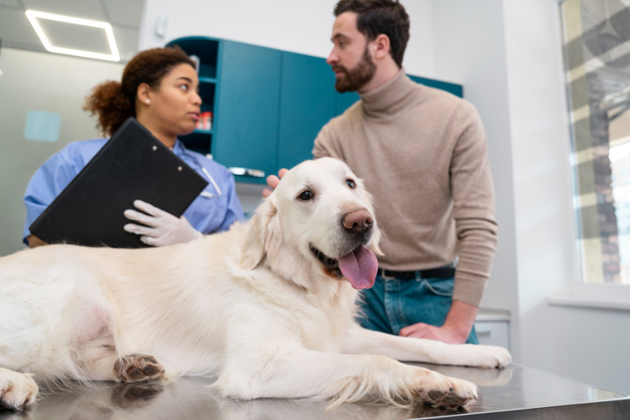 Veterinari persona