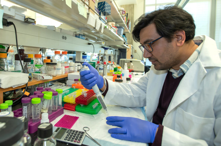 Manish Chauhan trabaja en el laboratorio.