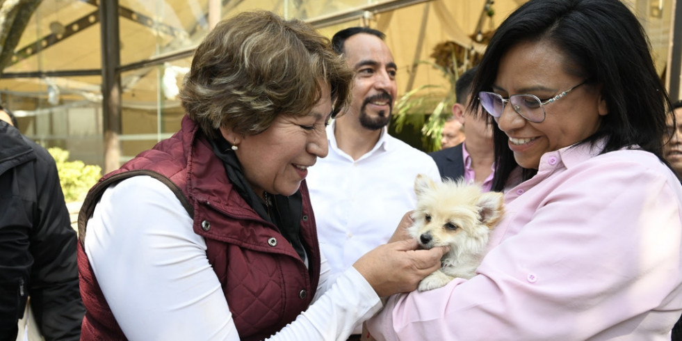 El Gobierno del Estado de México trabaja en una reforma integral para el bienestar animal