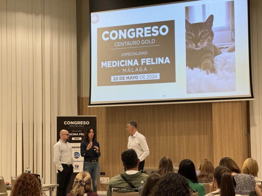 Congreso Centauro de Medicina Felina en Málaga