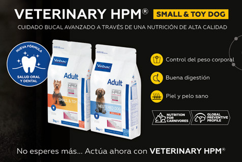 Noticia small toy dental virbac