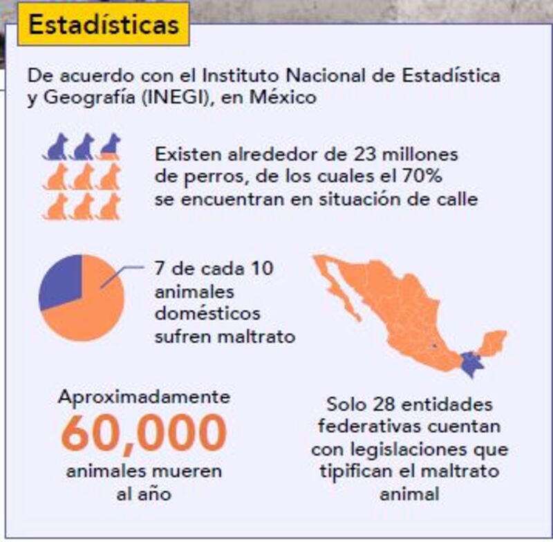 Estadísticas perros situación de calle