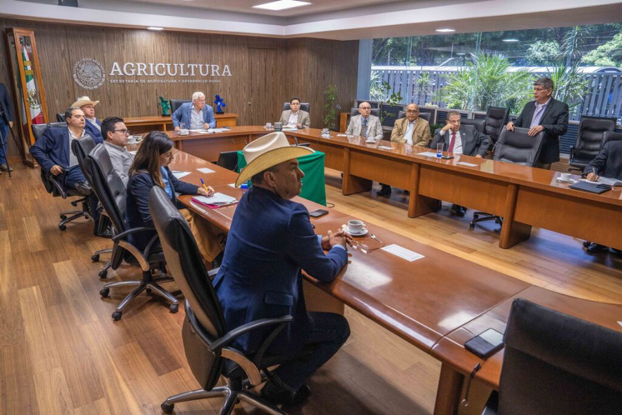 Plan agricultura gusano barrenador de ganado