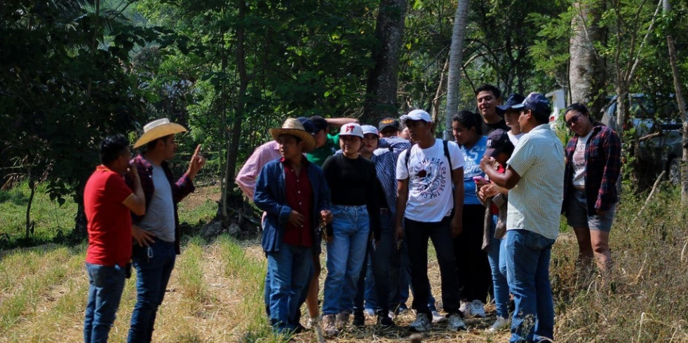 Capacitan a estudiantes de Tabasco en producción sustentable de bovinos