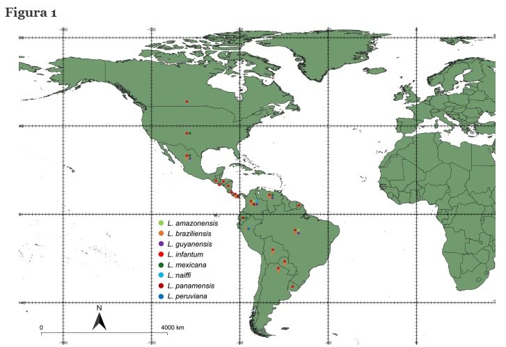 Mapa 1 leishmaniosis canina América