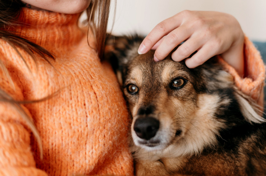 Perro con dueña