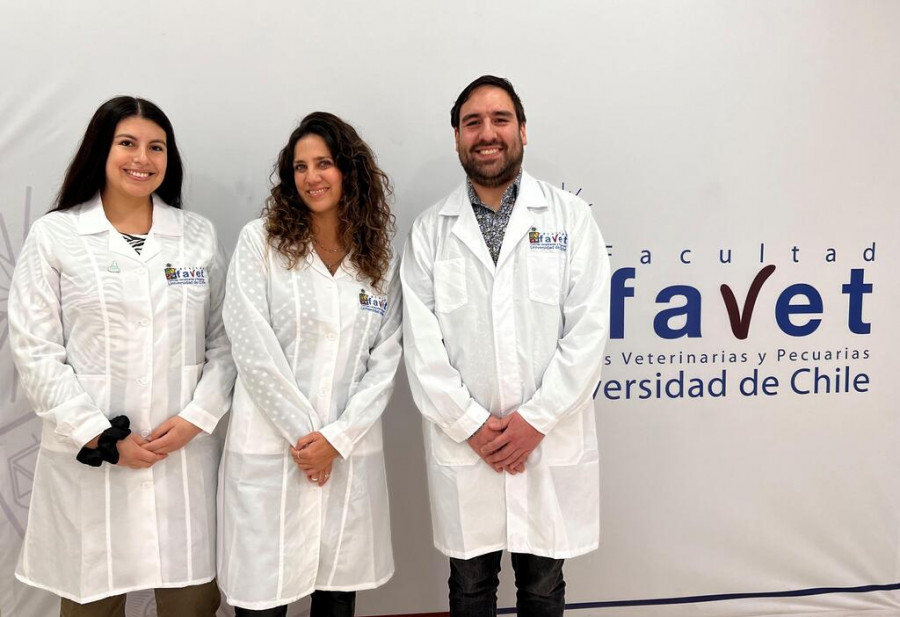 Investigadores de la Universidad de Chi