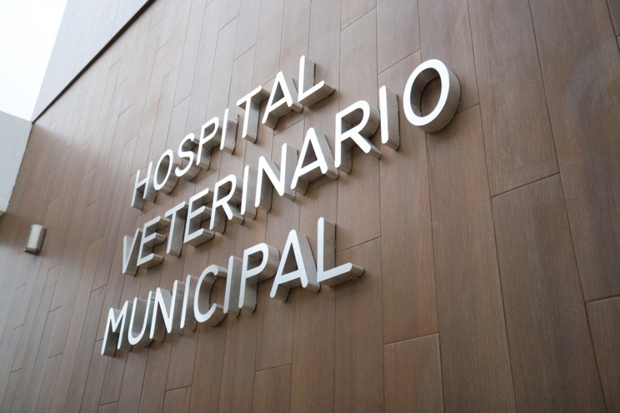 Hospital Veterinario Municipal de Aguascalientes