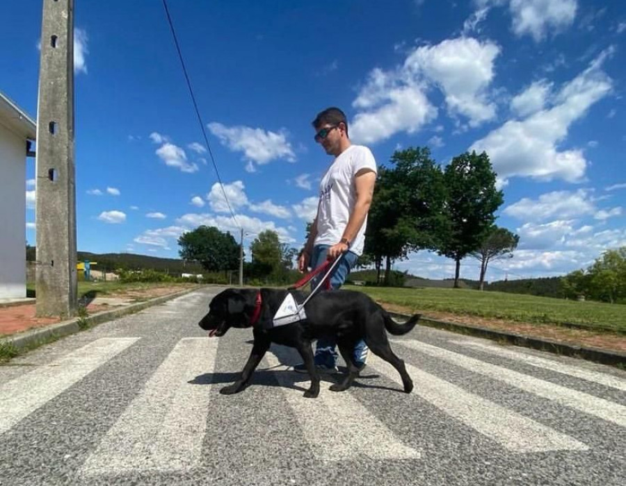 Asociación de Perros Guía en Portugal