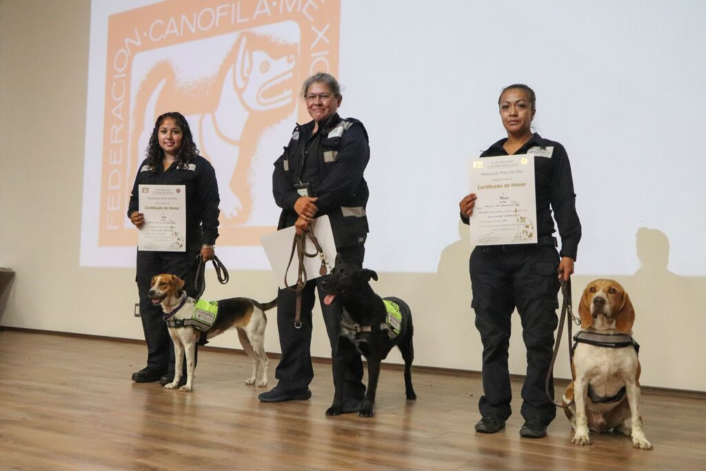 Federación Canófila Mexicana