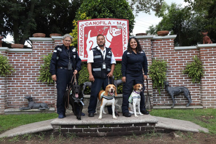 Federación Canófila Mexicana