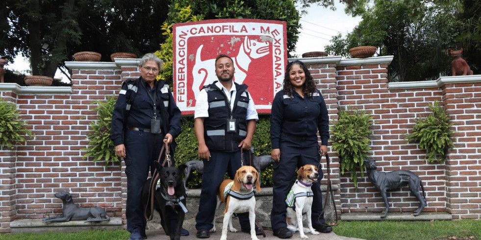 Premian a unidades caninas mexicanas por su labor en la detección de productos agroalimentarios de alto riesgo