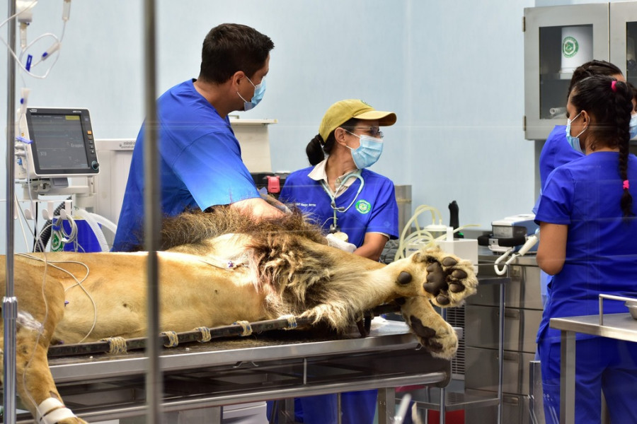 CIMBA Zoológico de Guadalajara