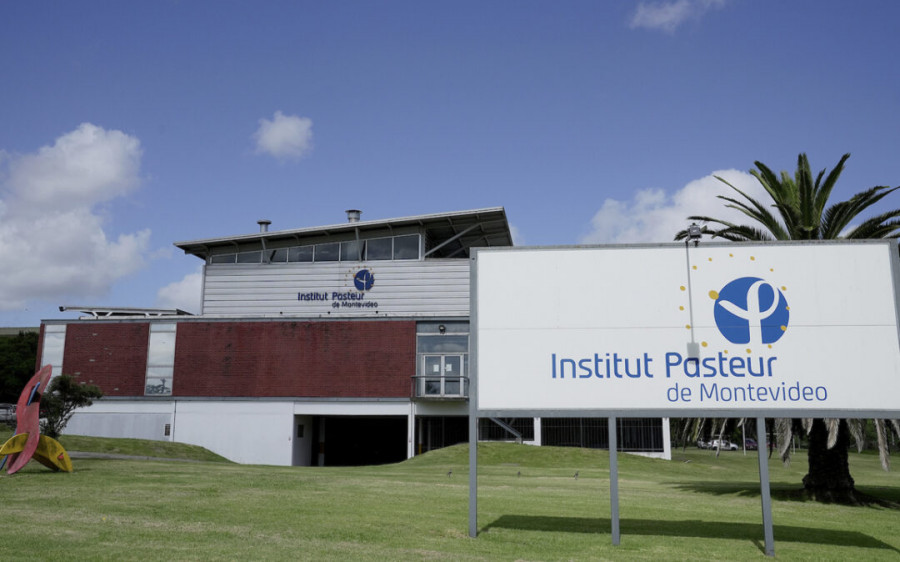 Instituto pasteur montevideo