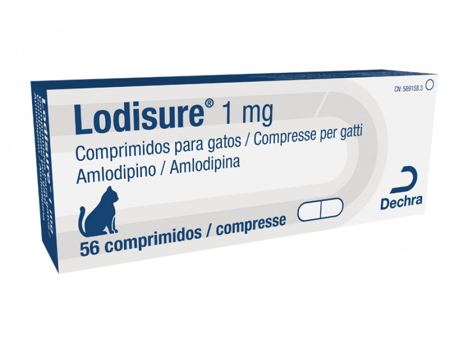 Lodisure