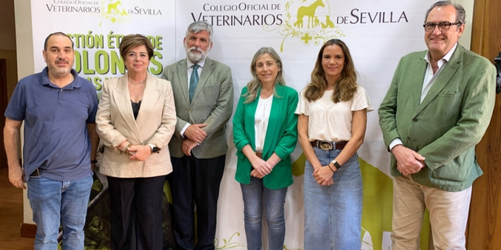 Veterinarios andaluces forman a Ayuntamientos y Policía en gestión de colonias felinas