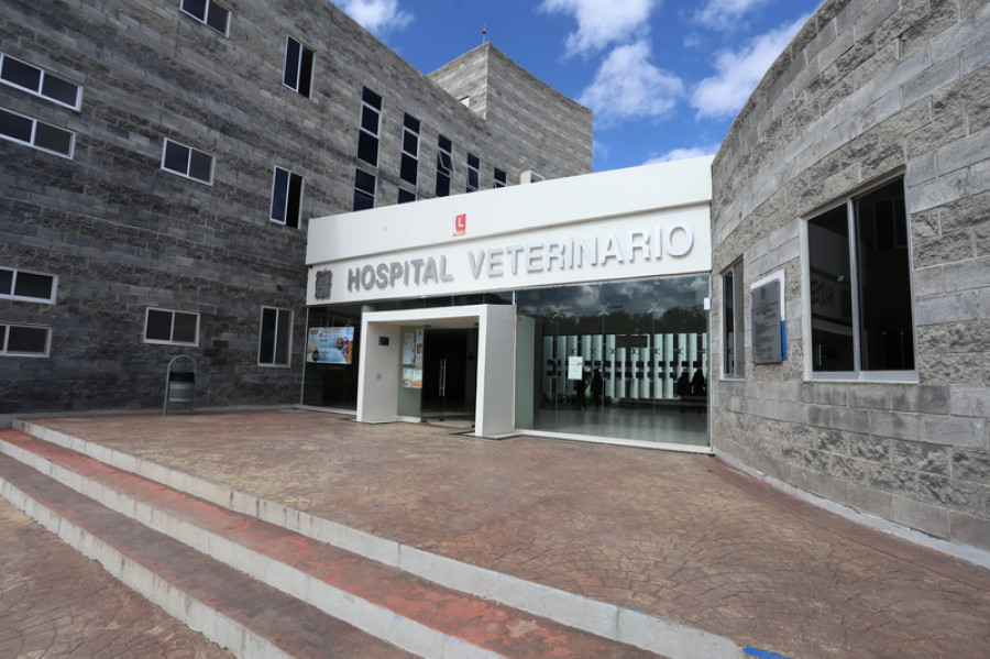 Hospital Veterinario Universidad Autónoma del Estado de Hidalgo