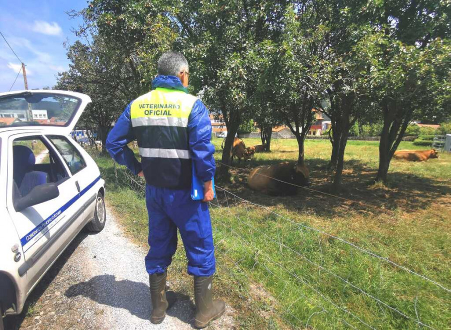 Facultativo Veterinario Inspector Oficial de Oficina Comarcal al lado de su coche en plena jornada laboral.