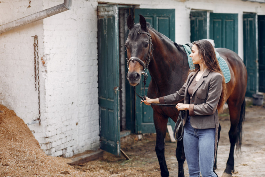 Caballo