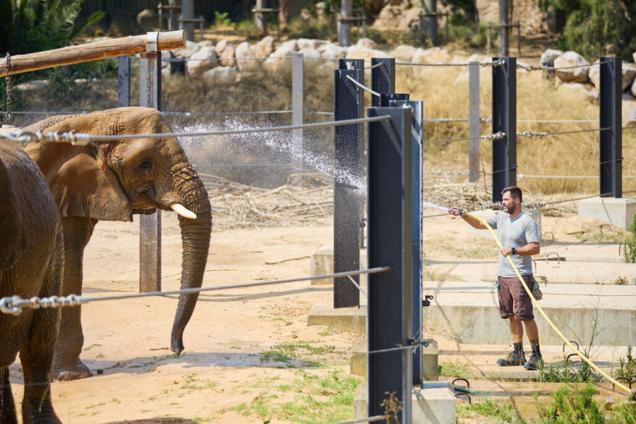 Zoo Barcelona