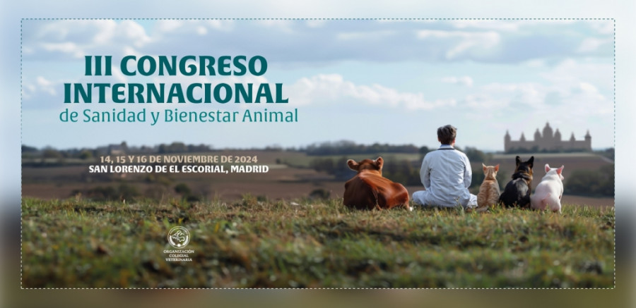 Congreso internacional OCV