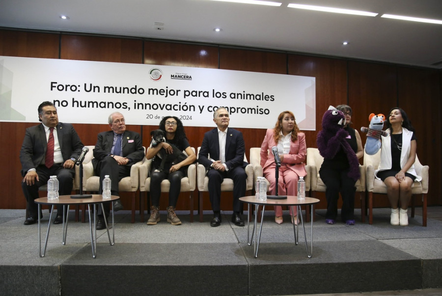 Foro “Un mundo mejor para los animales no humanos: innovación y compromiso”