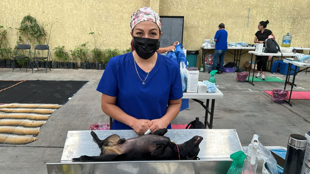 Esterilización