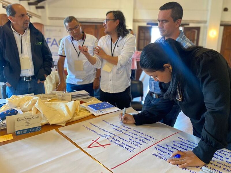 Taller FAO emergencias zoonóticas Colombia