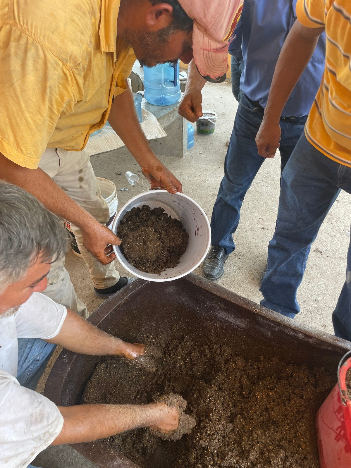 Bloques alimentación bovina