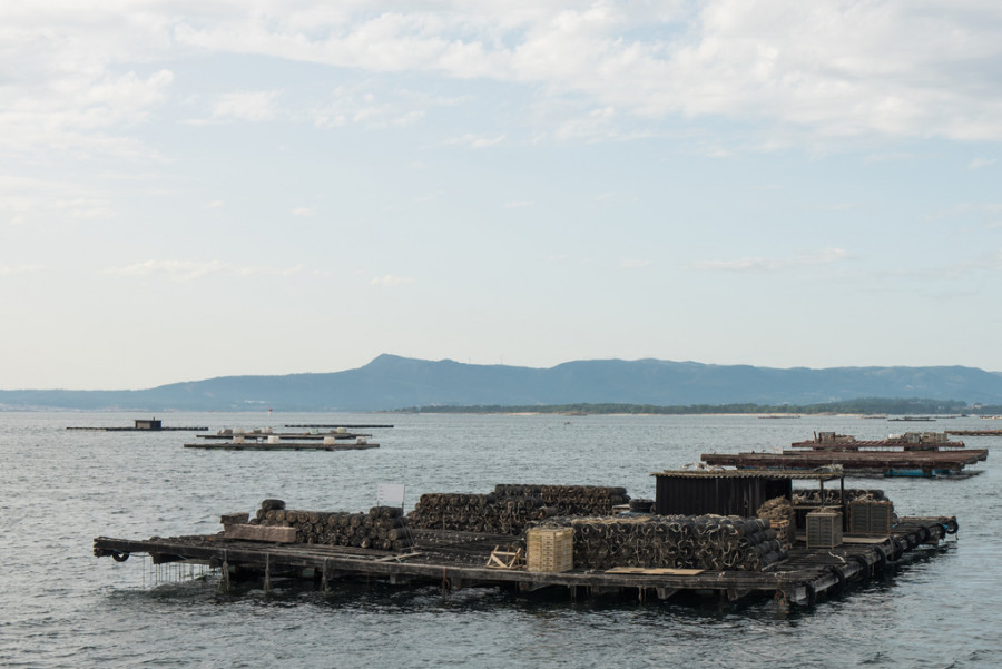 Balsas de acuicultura del mejillón en la ría de Arousa.