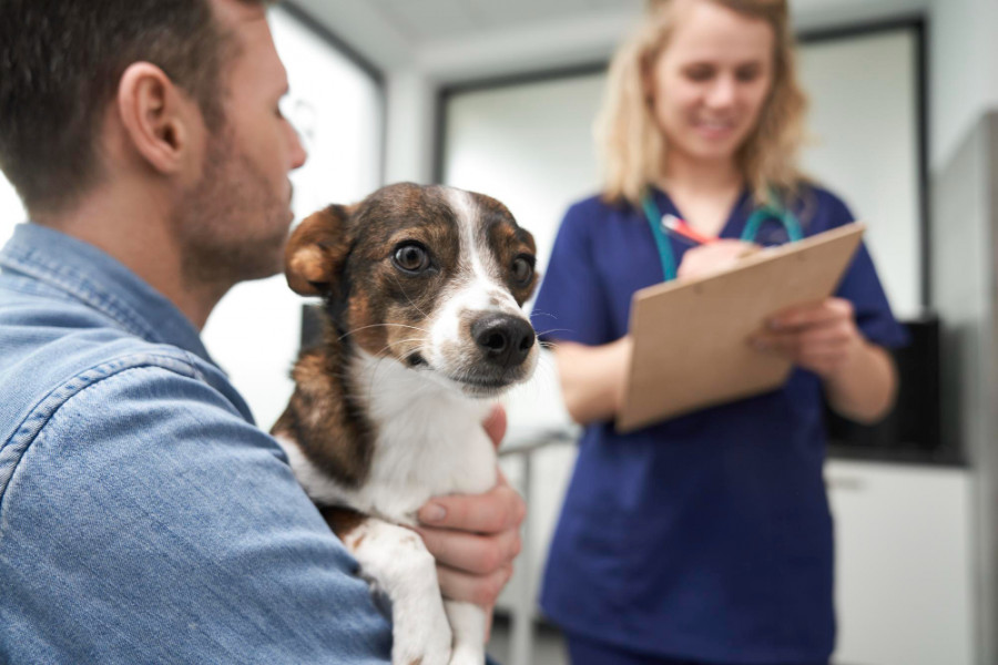 Veterinario dueño