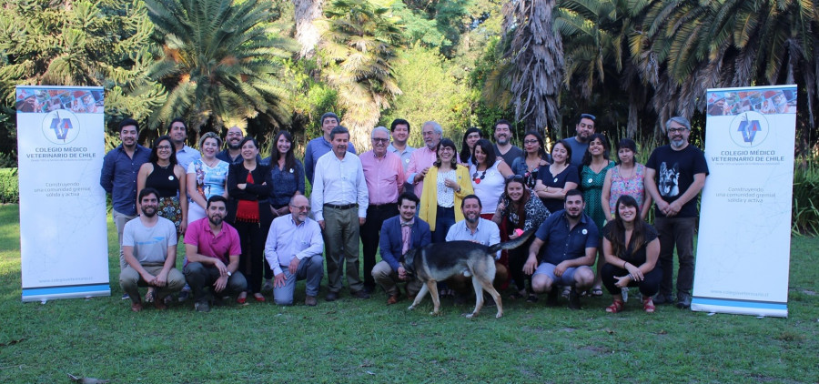 Colegio Veterinario Chile