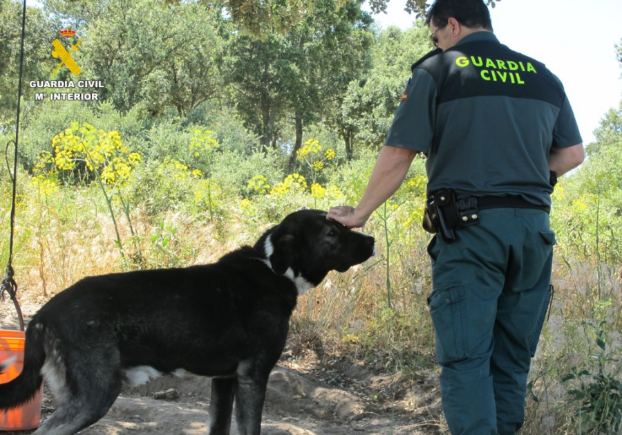 Guardia civil perro