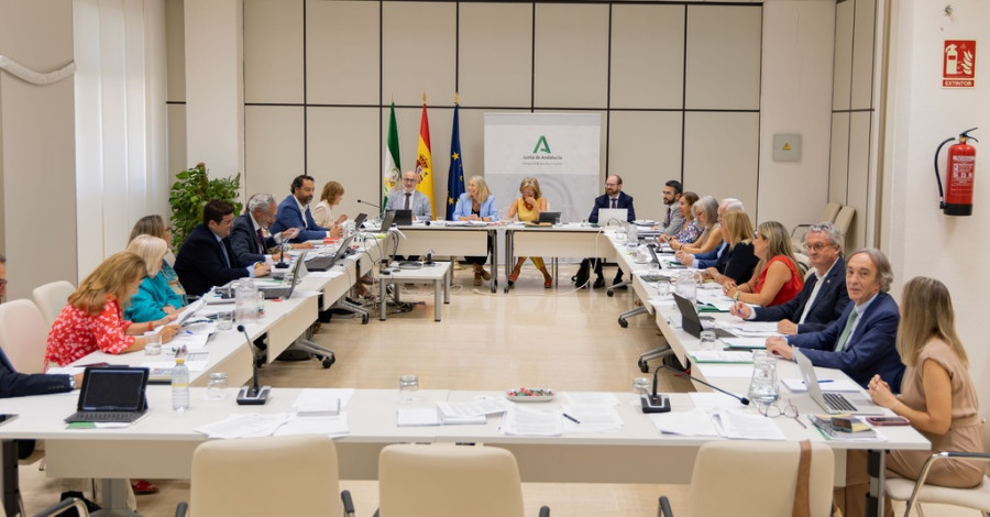 Comité de dirección y los delegados territoriales sanidad andalucía