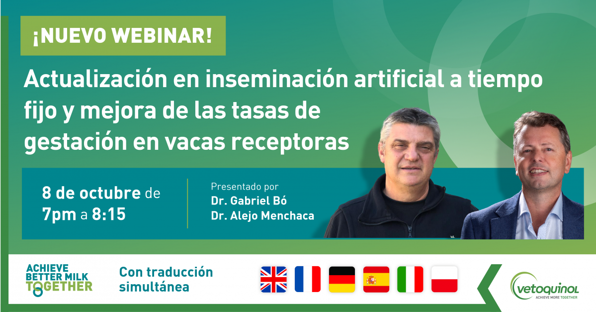 Webinar